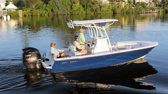 Center Console - Sea Born LX22