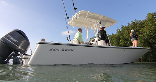 24 Foot Center Console - Sea Born LX24