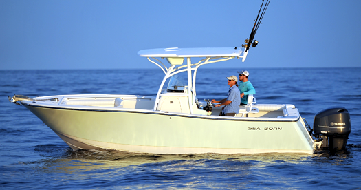 Offshore Boat - Sea Born SX239